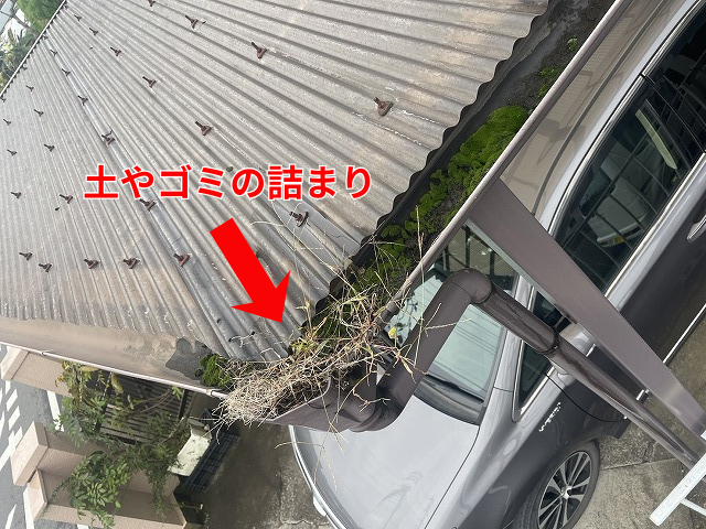 藤井