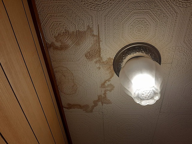 雨漏りしている室内の天井