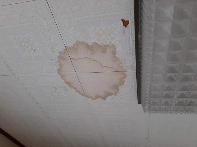 雨漏りの染みがついた天井