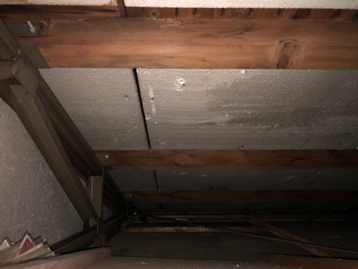 小屋裏の雨漏り点検