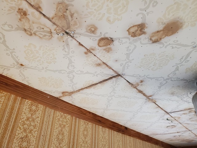広範囲にわたって天井に染みがあります。