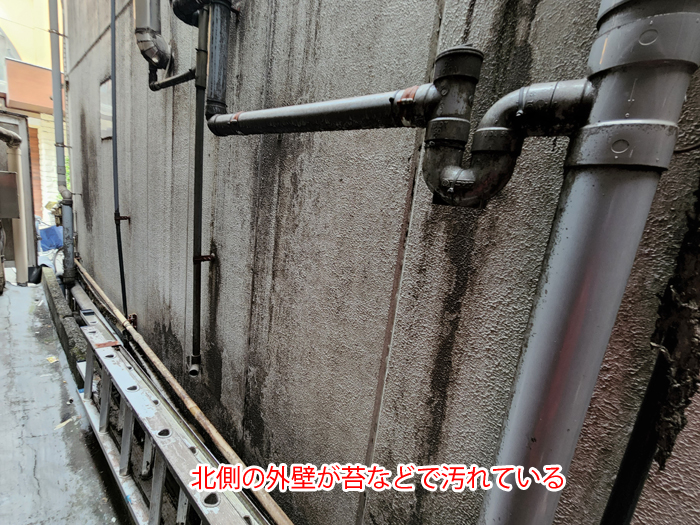 北側外壁の苔汚れ