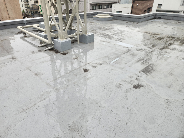 陸屋根全体に黒ずみや摩耗が見られる写真