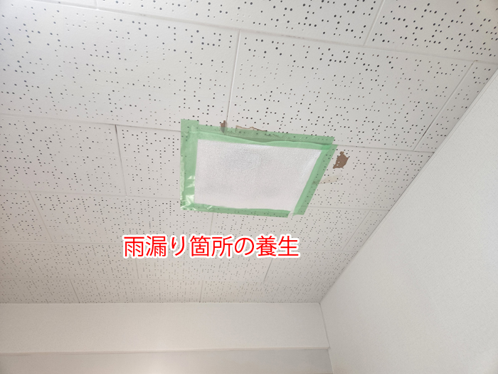 室内天井の養生