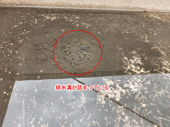 排水溝が詰まっている写真