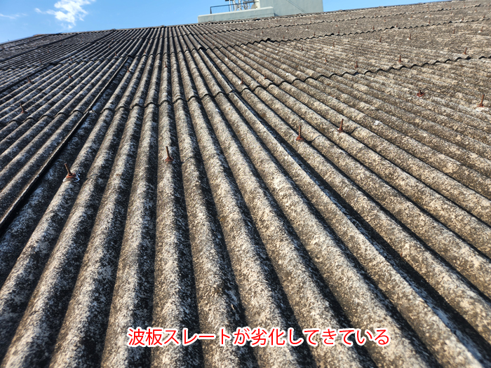 波板スレート全景写真