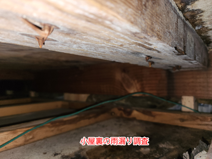 小屋裏の雨漏り調査の写真