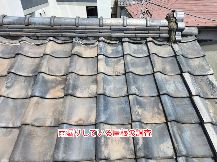 雨漏りしている瓦屋根を調査している全景写真