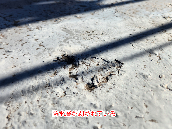 成田市花崎町で雨漏り調査を実施、陸屋根の防水層剥がれと笠木板金の腐食を確認