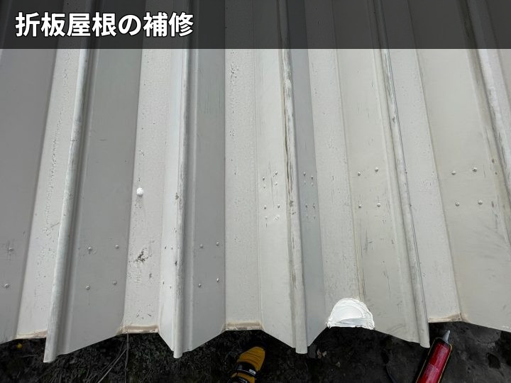 折板屋根全体の状態