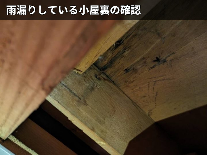 小屋裏木部の浸水跡