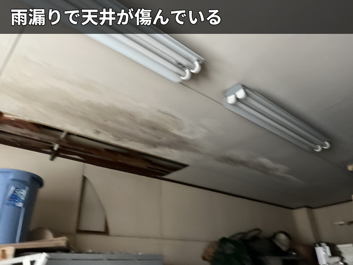 雨染みが広がる天井