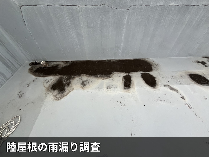 木更津市富士見で雨漏り調査、陸屋根の防水劣化と天井の広範囲な染みを確認
