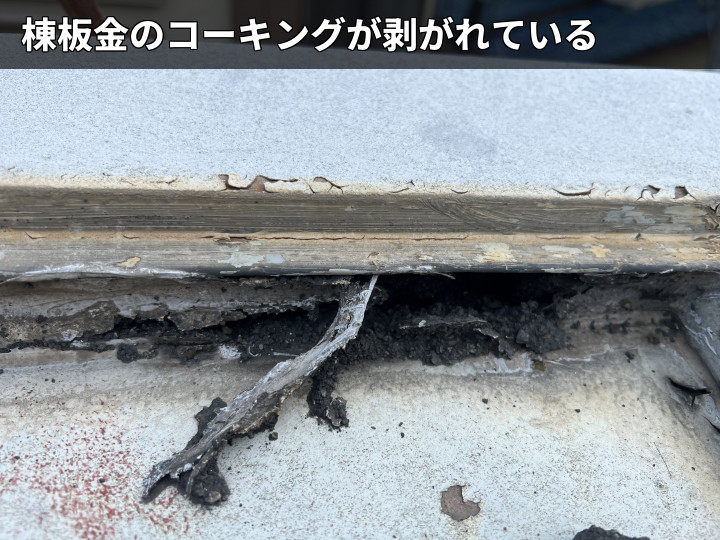鋸南町保田で雨漏り調査、天井の雨染みと棟板金コーキング剥がれ・金属屋根の塗膜剥離を確認