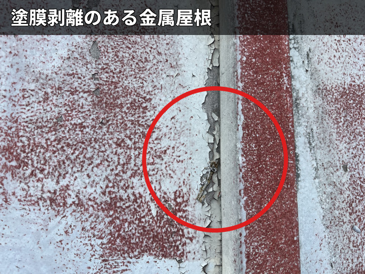 金属屋根の塗膜剥離