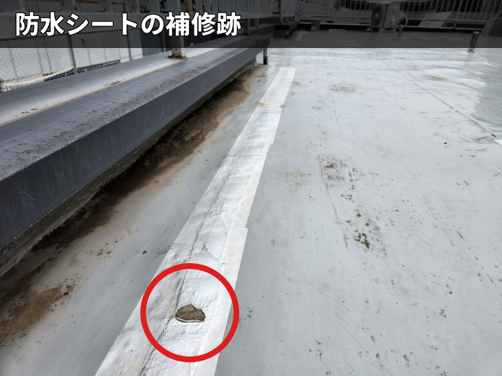 防水シート補修部の破れ