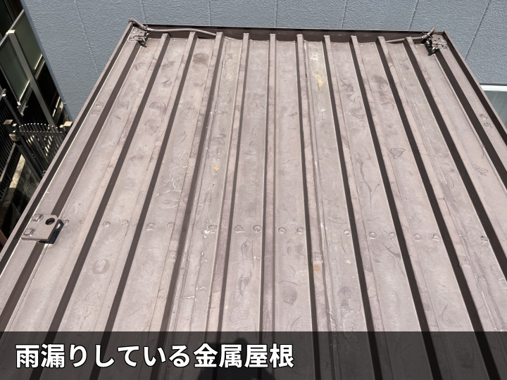 雨漏り中の金属屋根全景