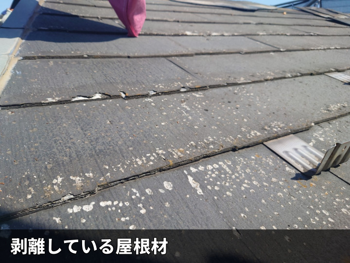 剥離した屋根材の表面