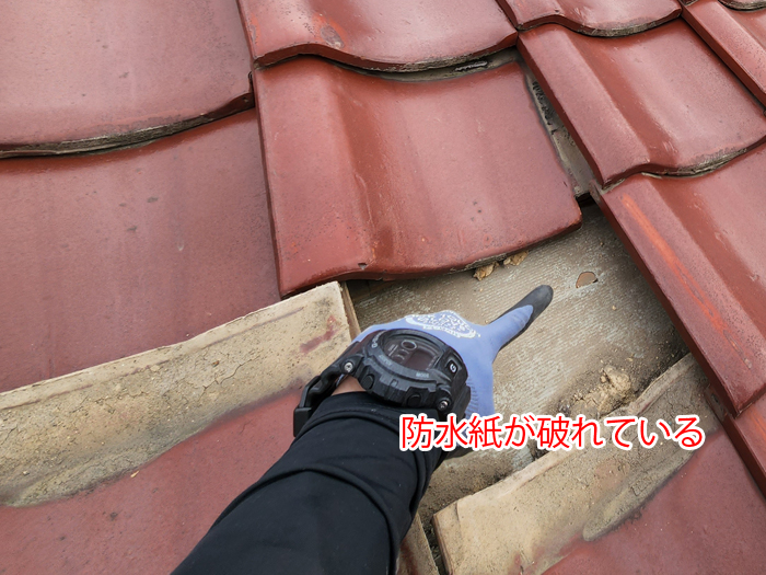 防水紙が破れている