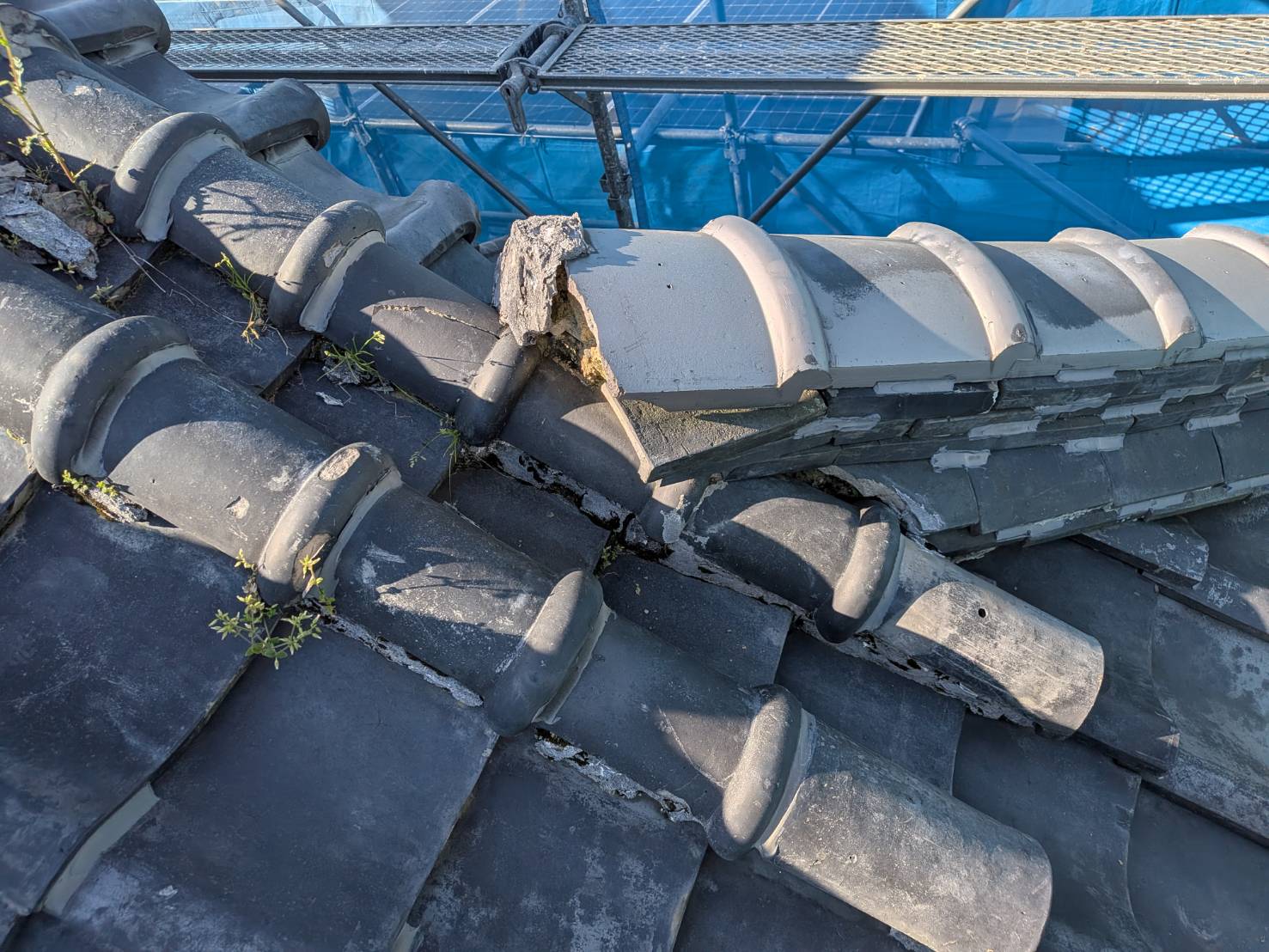 【紀の川市】隅棟修理・瓦差し替え工事｜凍害による割れも徹底補修