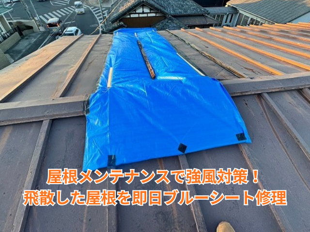 加須市｜屋根メンテナンスで強風対策！飛散した屋根を即日ブルーシート修理