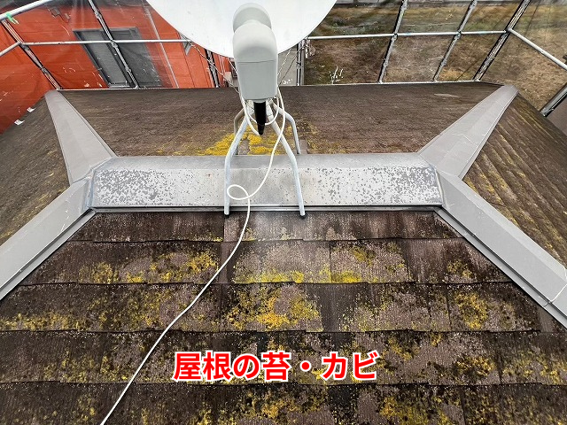 加須　屋根カバー　工事　アルマ