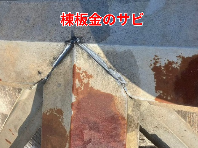 藤井