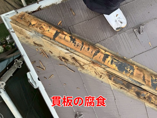 藤井
