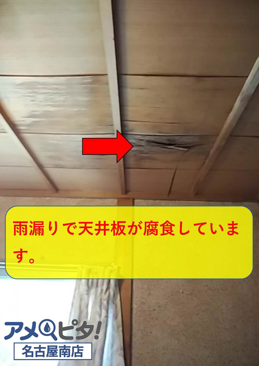 雨漏りで天井板が腐食しています