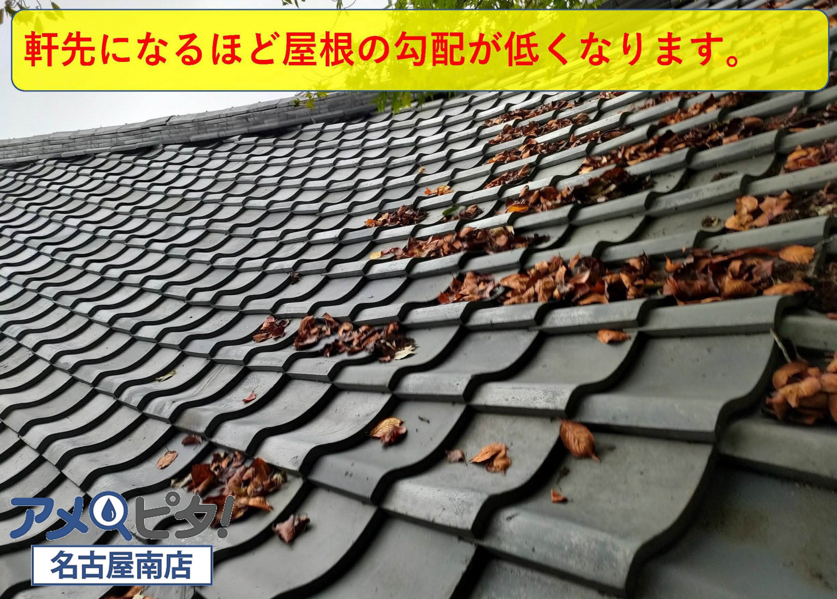 軒先の屋根の勾配が低いため落ち葉が溜まりやすいです