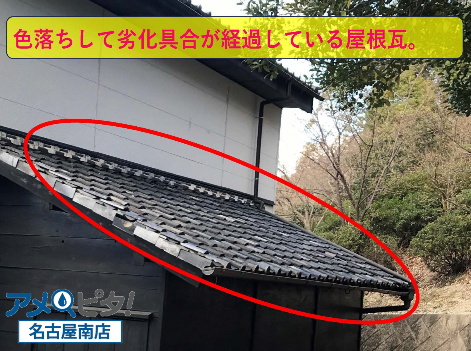 名古屋市緑区にて神社の一角に劣化した建物から雨漏り！目視で屋根を点検調査！