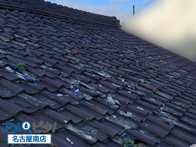 名古屋市南区にて瓦の経年劣化から見る屋根葺き替え工事と合板補強の重要性