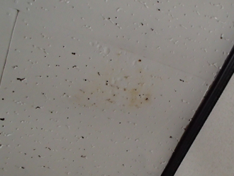 銚子市春日町で天井からの雨漏りのご相談、原因は防水紙の劣化です