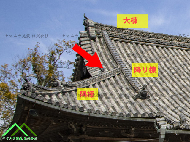 箕甲説明