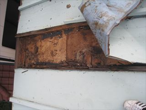 葺き替え下地