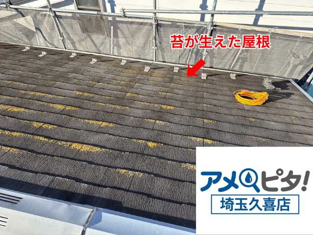 杉戸町　屋根カバー　工事　ガルテクト