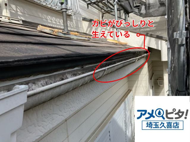 久喜　雨樋交換工事