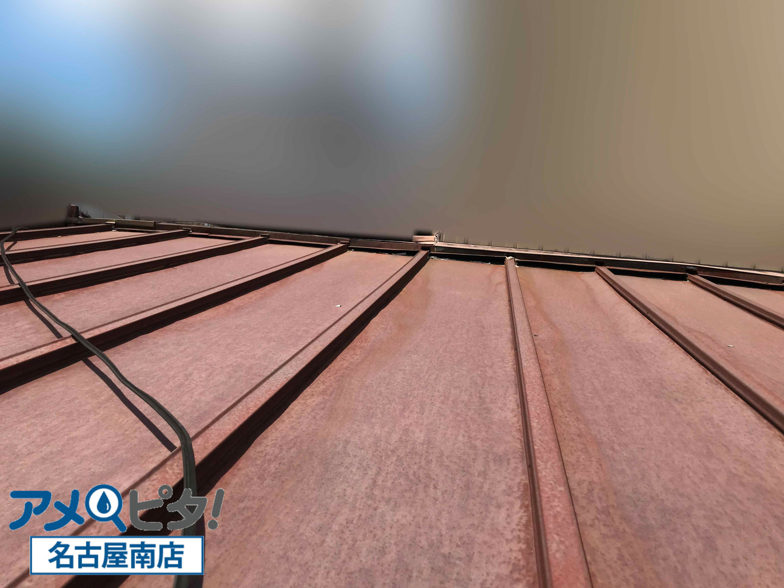 豊明市にて経年劣化したトタン屋根の目視による点検作業！注意点と提案内容