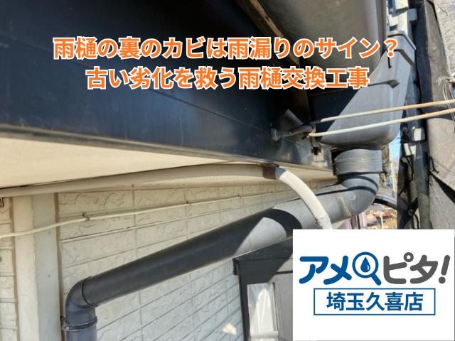 栗橋｜雨樋の裏のカビは雨漏りのサイン？古い劣化を救う雨樋交換工事