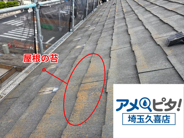 久喜　屋根カバー　フックシングル