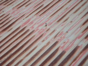 錆びたトタン屋根から釘が露出