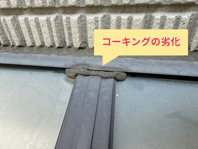 藤井