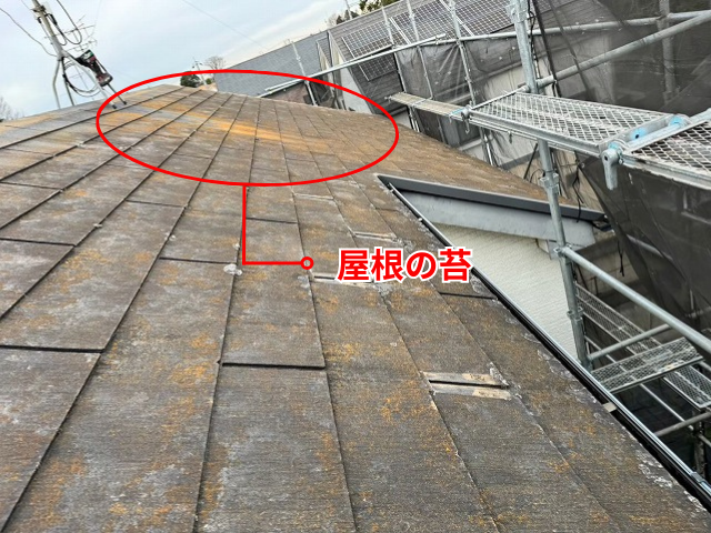 久喜　栗橋　屋根　苔　カバー工事　ガルテクト