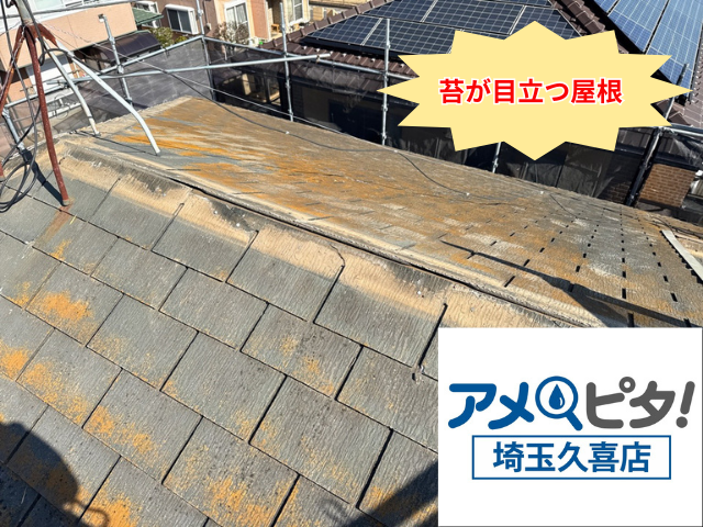 羽生市　屋根カバー　工事　ディプロマットスター