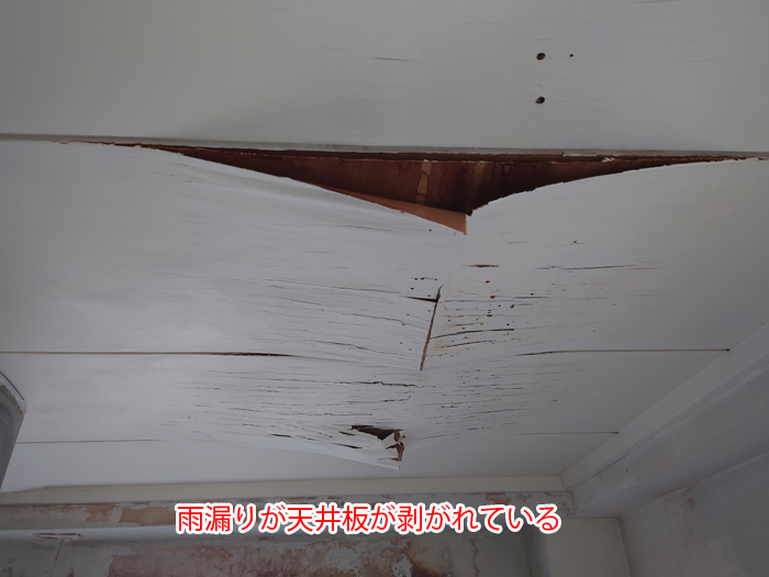 天井剥がれ写真