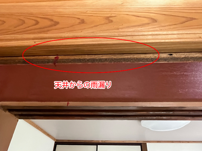 天井からの雨漏り写真
