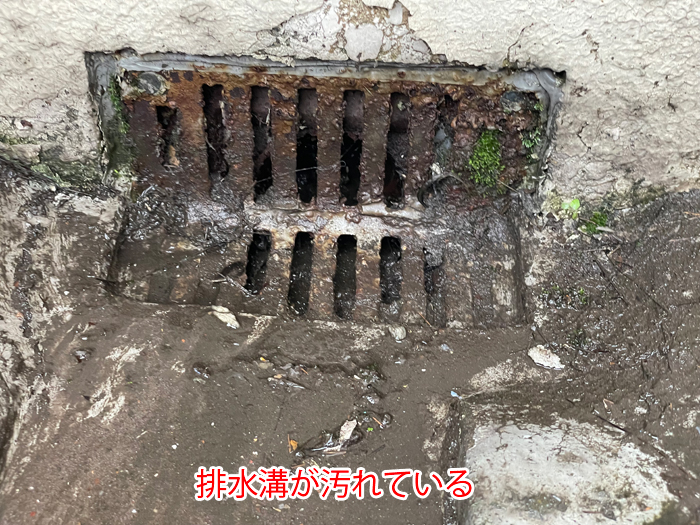 排水溝の詰まりが引き起こすリスク