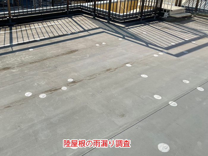 稲城市百村で発生した陸屋根の雨漏り調査｜シート防水の劣化サインと適切な対処法を解説