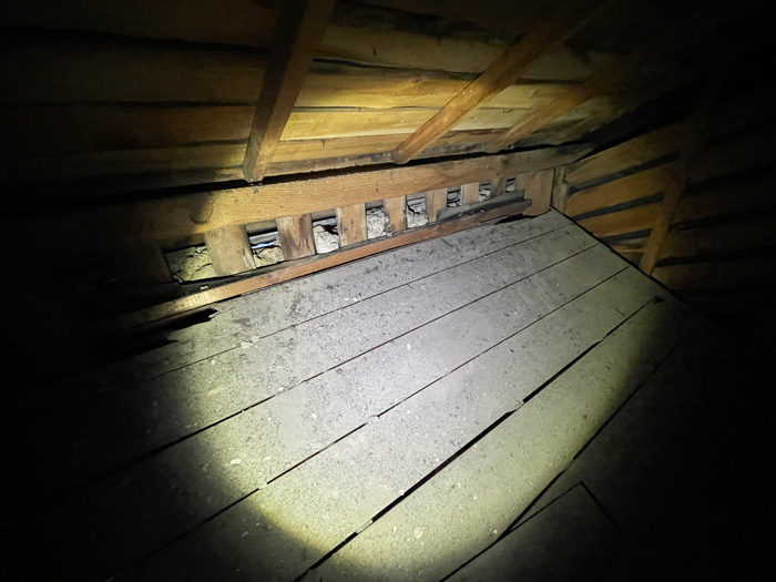 屋根からの雨漏り調査　小屋裏確認