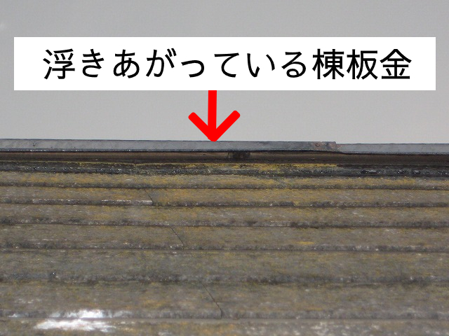 棟板金が浮きあがっている様子